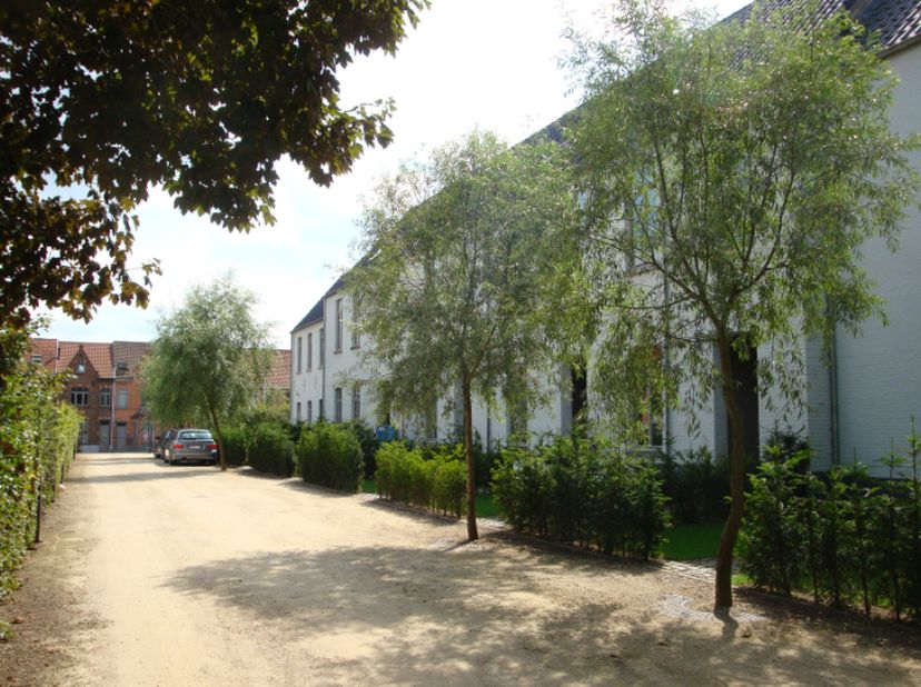 Maison à louer
                    à 8310 Assebroek