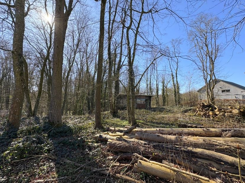Rue Fleur de Roche, 6 - Très beau terrain à bâtir, situé dans un environnement calme et arboré, à proximité des grands axes:&lt;br /&gt;
36m de façade - 57m