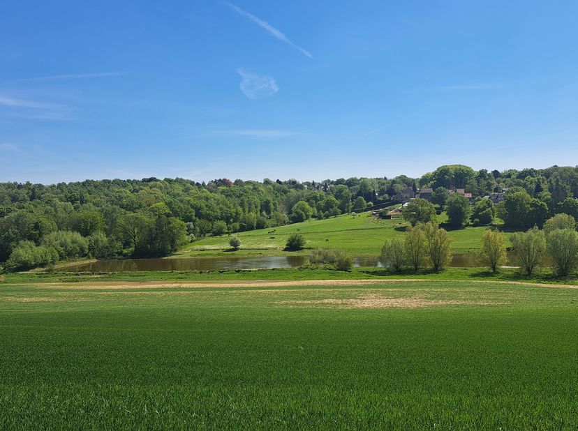 Éléments favorables :&lt;br /&gt;
- villa de caractère&lt;br /&gt;
- région à excellente connotation immobilière (Brabant Wallon)&lt;br /&gt;
- superficie du terrain de