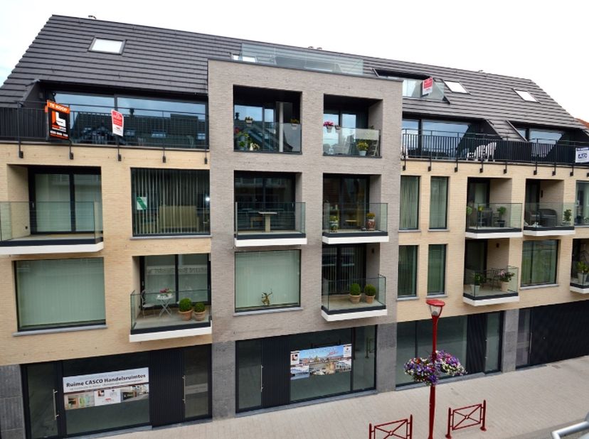 Bien professionnel à vendre
                    à 9600 Renaix