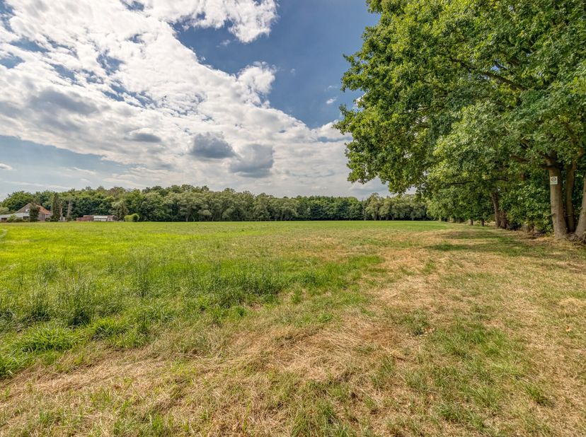 Te koop +/- 2,3 hectare bosgrond&lt;br /&gt;
Een zeldzame kans voor investeerders én natuurliefhebbers: dit prachtige perceel van ca. 23.000 m² ligt volledi