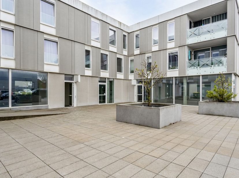 Immo Pické biedt U deze uiterst gunstig gelegen winkelruimte aan gelegen op één van de belangrijkste commerciële assen tussen Brussel en Halle. Dit co