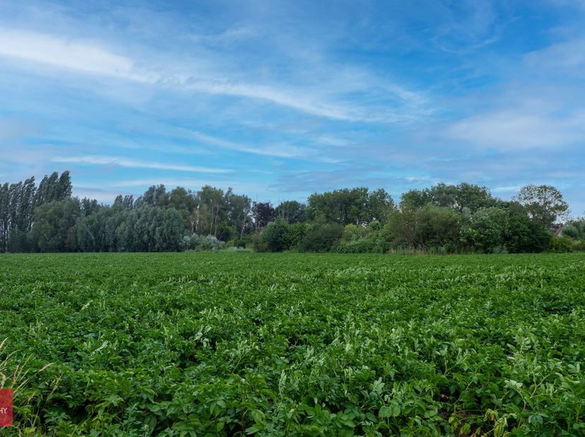 Terrain à vendre
                    à 8560 Gullegem