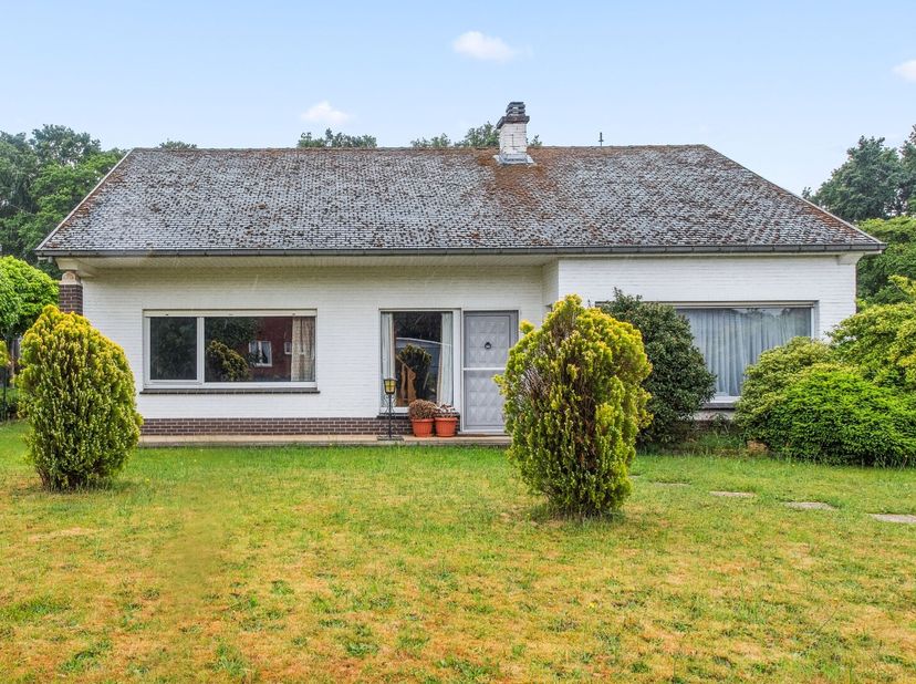 Maison à vendre
                    à 3271 Zichem