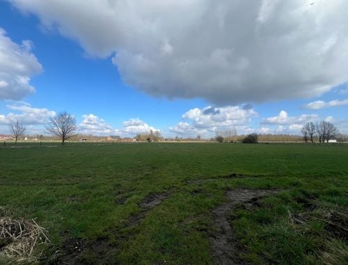                                        Landbouwgrond te koop in Duffel, € 120.200
