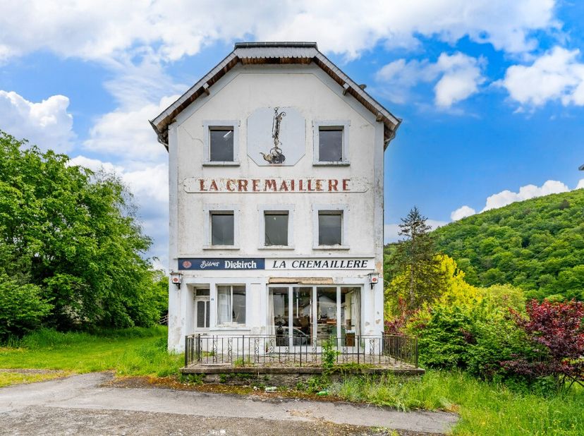 Lagence ERA B-LUX a le plaisir de vous présenter cette énorme bâtisse à vendre à Poupehan. Aménageable sur 3 étages avec plus de 360m² habitables, il