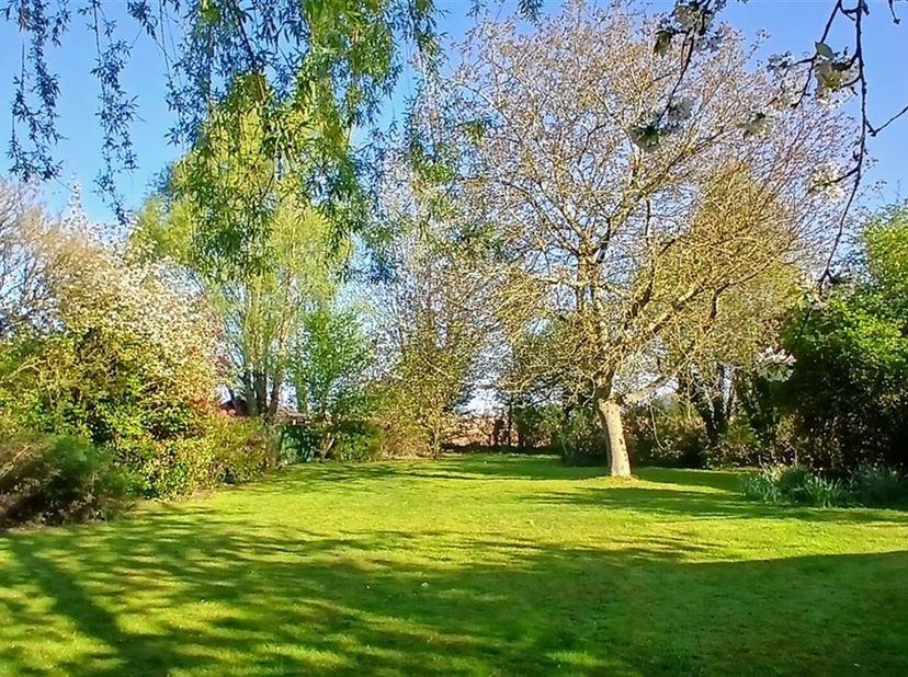 Charmante maison 3 façades située en face d&#039;un bois à Néchin. &lt;br /&gt;
Implantée sur un terrain de 1160 m² dont 900 m² de jardin avec plusieurs stationn