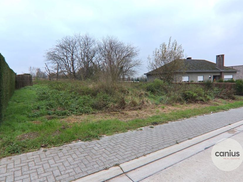 TERRAIN CONSTRUCTIBLE DE PLUS DE 10A AVEC UNE ORIENTATION SUD&lt;br /&gt;
Ce terrain à bâtir de 10A 17CA est situé dans la Leenhaagstraat à Budingen, une pa