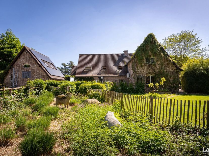 Gelegen op een steenworp afstand van het charmante Diest, bevindt zich dit karaktervolle villa-landhuis, ingenesteld in een weelderig aangelegde tuin