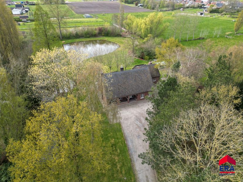 Maison à vendre
                    à 9990 Maldegem