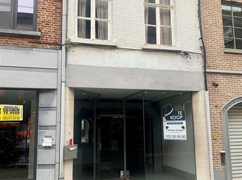 Bien professionnel à vendre
                    à 9220 Hamme