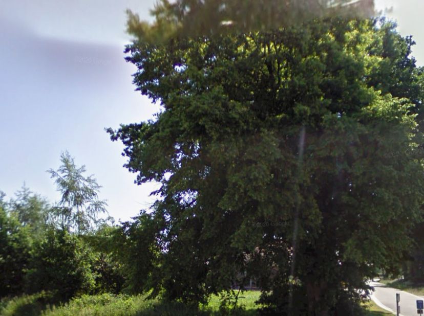 Grond te koop in Oudsbergen (+ deelgemeenten) Zimmo