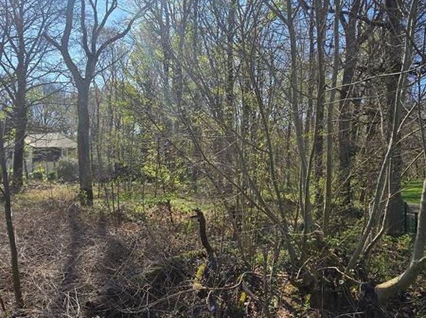 Terrain à vendre  Ville-Pommeroeul (route de Mons) - entre le numéro 5 et le numéro 7&lt;br /&gt;
À découvrir sans tarder : un magnifique terrain boisé situ