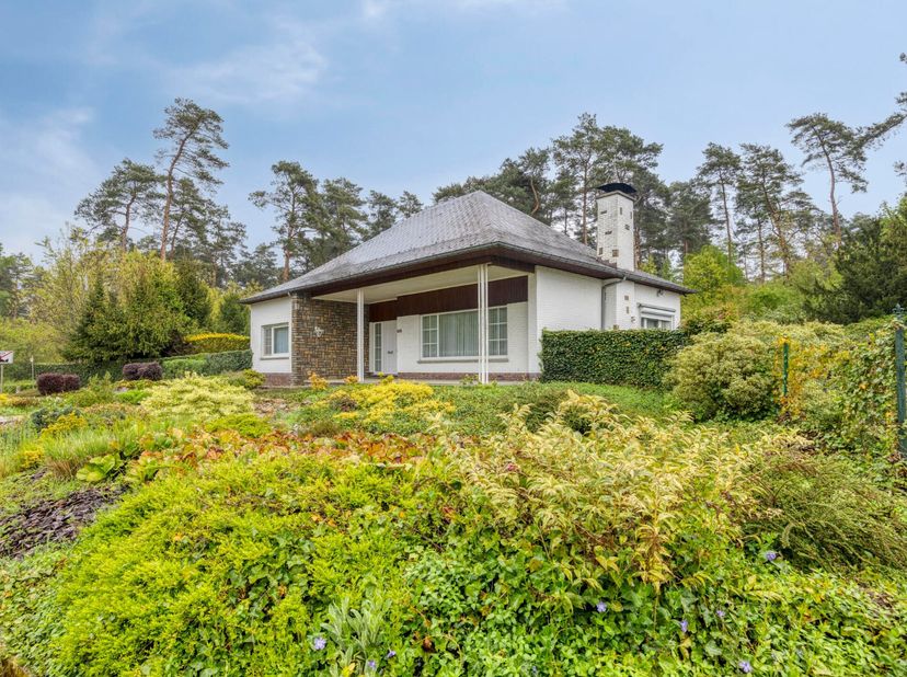 Maison à vendre
                    à 3620 Lanaken
