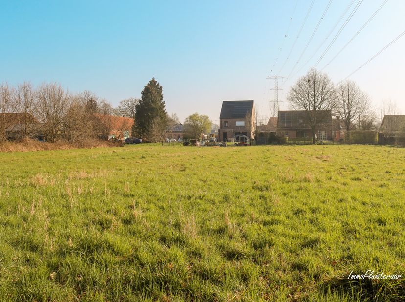 Deze bouwgrond (ca. 740m2) ligt aan een rustige straat in Balen.&lt;br /&gt;
Achter de bouwgrond liggen de droge, goed onderhouden weilanden, ideaal om de d