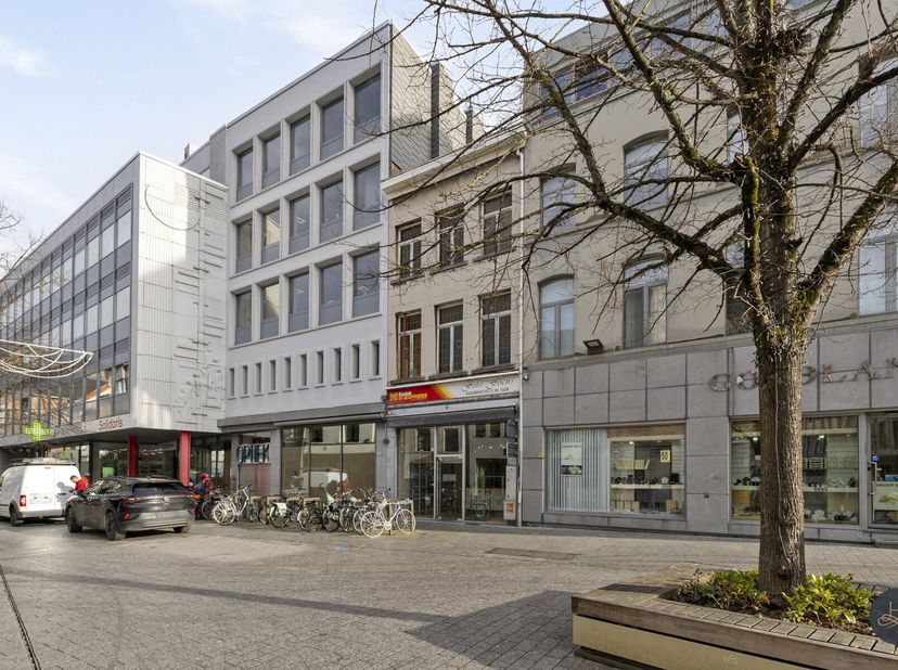 Bien professionnel à vendre
                    à 2800 Mechelen