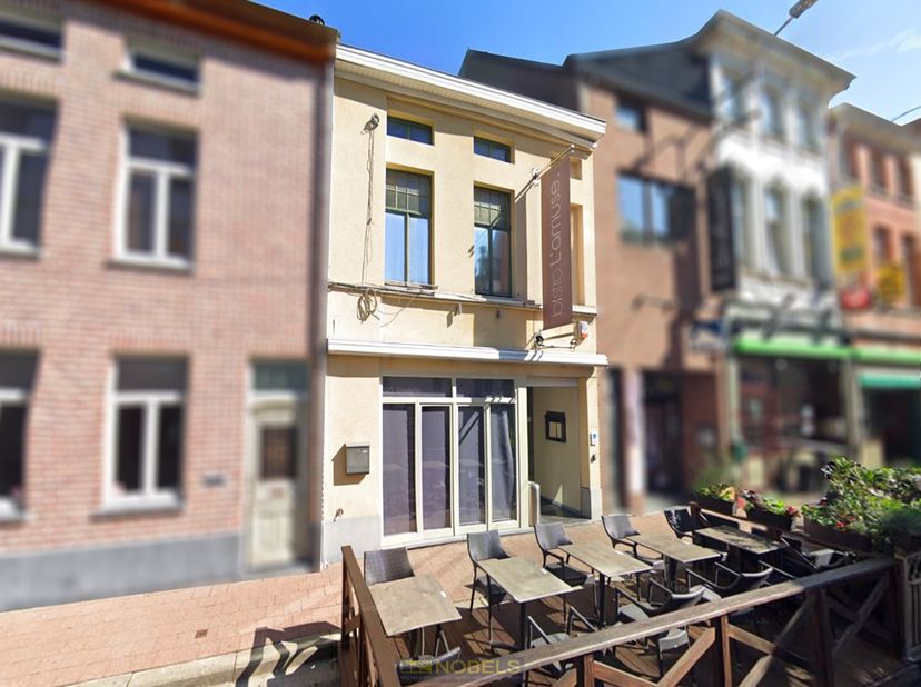 Bien professionnel à vendre
                    à 9620 Zottegem