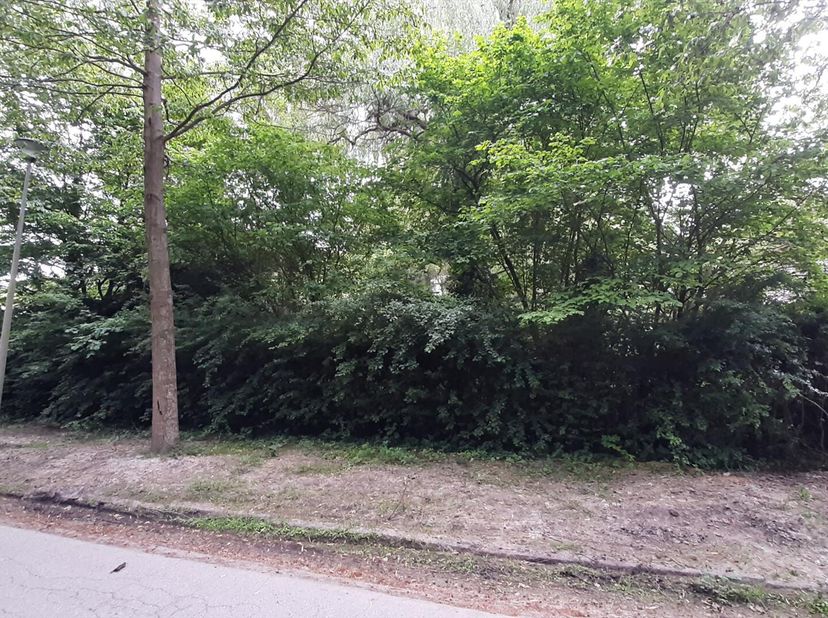 Terrain à vendre
                    à 1910 Kampenhout