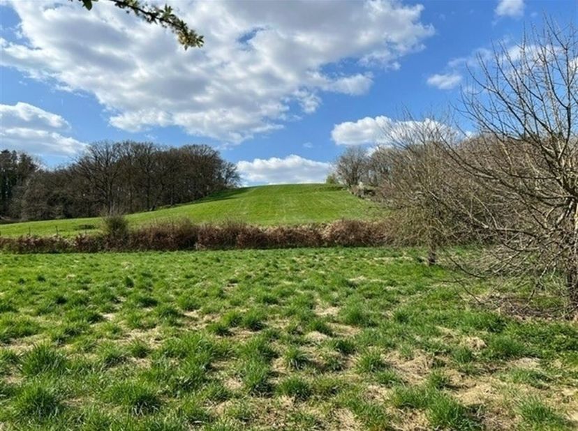Un beau terrain à bâtir de 26a83ca est proposé dans un quartier très calme et verdoyant. Près du centre de Terlanen, à Overijse.&lt;br /&gt;
Les principaux
