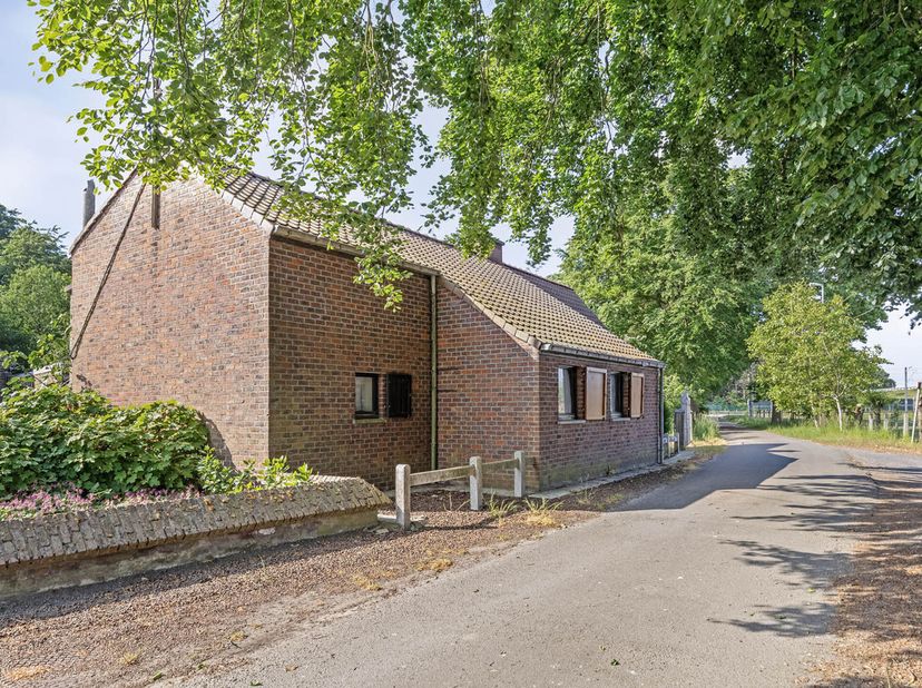 Une ferme à rénover à vendre sur près de 6000 m² près de l&#039;ancien canal d&#039;Aalter. Avec une connexion facile à Knokkeweg, au centre-ville et à l&#039;E40. &lt;