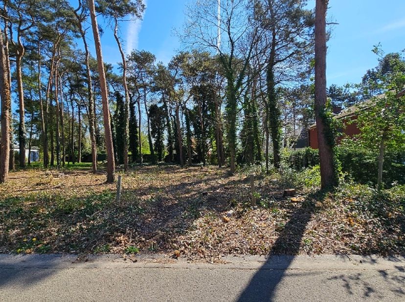 Gunstig en rustig gelegen perceel bouwgrond met een oppervlakte van 7a00ca. Gelegen vlakbij het centrum van Haacht.&lt;br /&gt;
Zuid-oost georiënteerd.&lt;br /