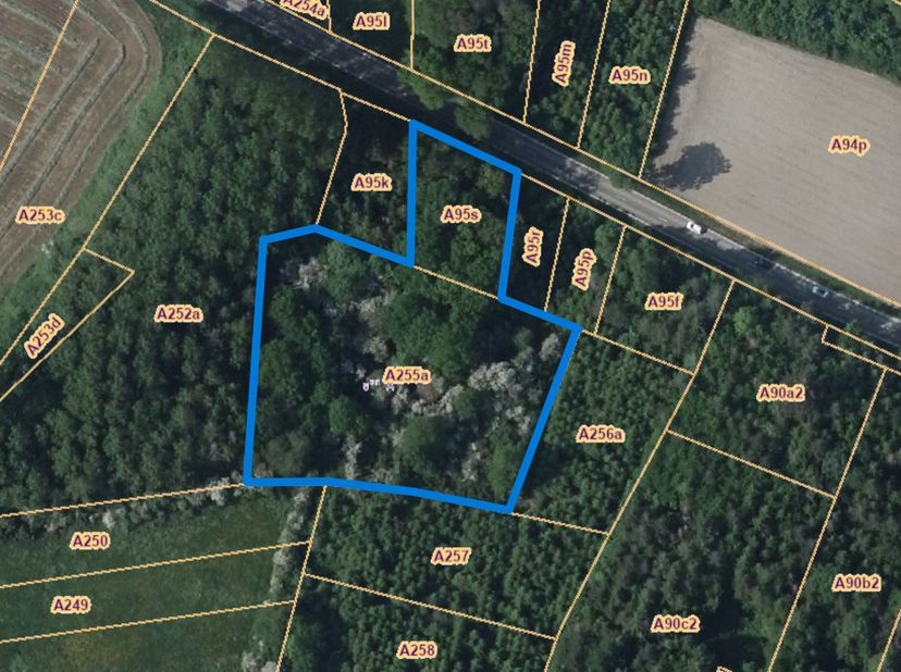 CONTACT&lt;br /&gt;
Jeroen Vandormael: jeroen@vastgoedvalkenborgh.be &lt;br /&gt;
&lt;br /&gt;
Vous avez toujours rêvé d’un petit coin de forêt à vous ? &lt;br /&gt;
Voici l’