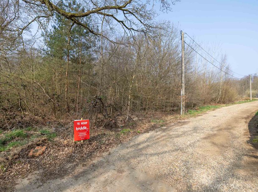 Terrain à vendre
                    à 3581 Beverlo
