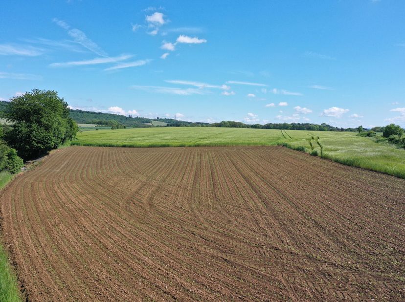 Palenge (Durbuy) : Deux magnifiques parcelles à bâtir situées au calme absolu, à seulement 5 minutes du centre-ville de Durbuy !&lt;br /&gt;
Les parcelles s