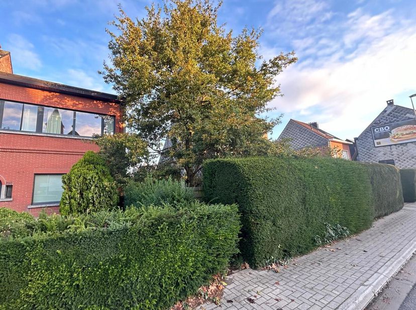 Terrain à vendre
                    à 2500 Lier