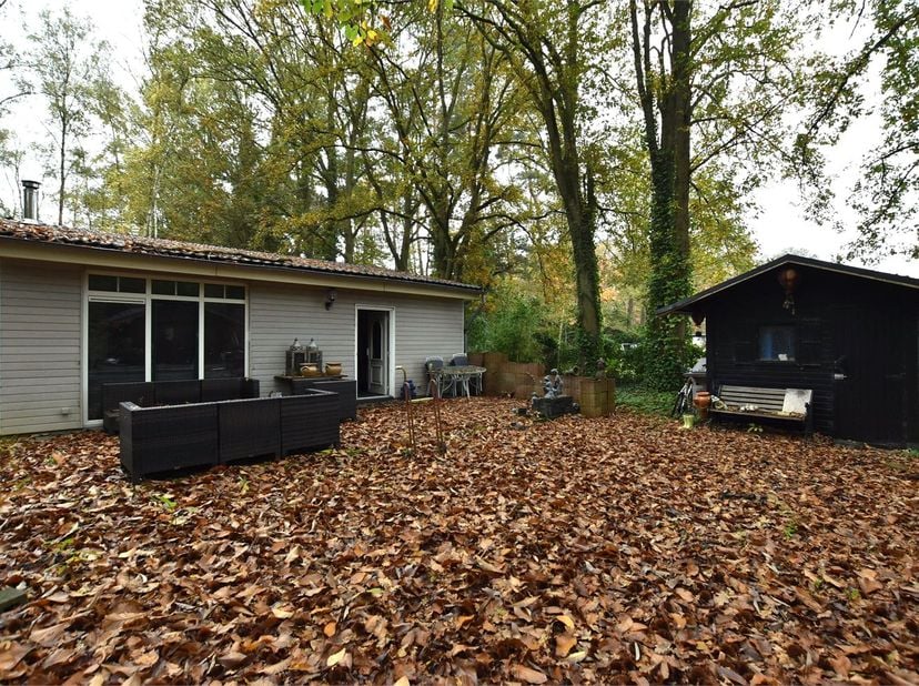 Deze chalet is gelegen op een uiterst rustige locatie, volledig in het groen. Toch is het centrum van Herselt vlakbij, wat ervoor zorgt dat alles binn