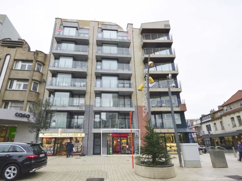 Bien professionnel à vendre
                    à 8660 De Panne