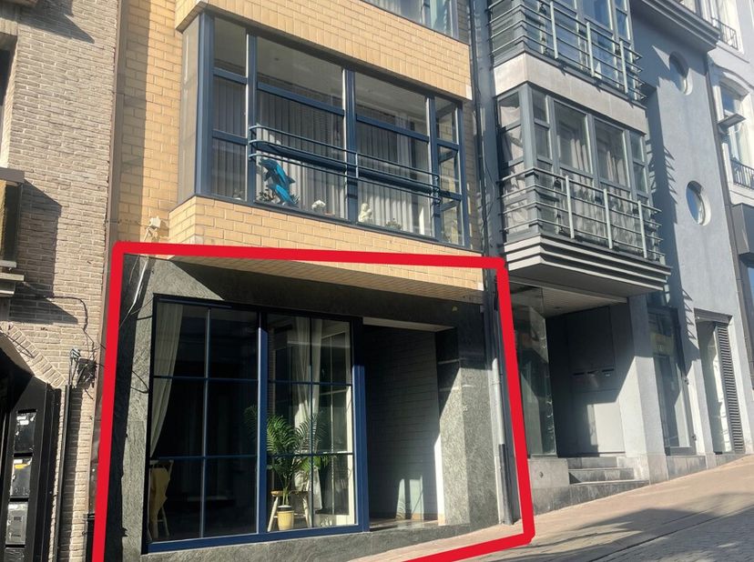 *** ENIG BEZOEKMOMENT WOENSDAG 23.04 om 19h00 *** GEZELLIG GELIJKVLOERSAPPARTEMENT MET 1 SLAAPKAMER. Optimaal gelegen vlakbij de Markt van Geraardsber
