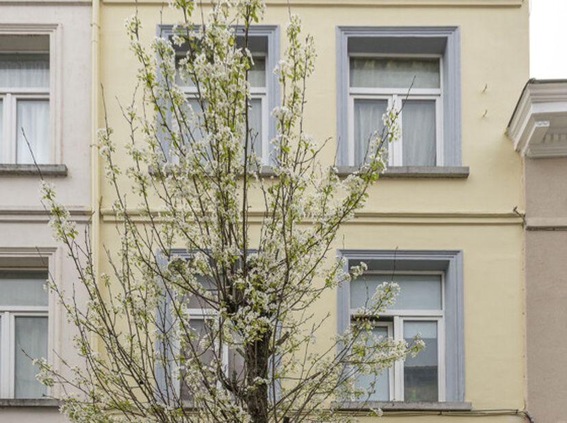 Maison d&#039;habitation avec rez-de-chaussée commerciale.&lt;br /&gt;
Cette propriété est située à proximité du centre de Bruxelles, des transports en commun, d