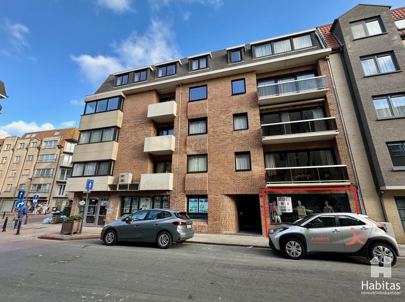 Bien professionnel à vendre
                    à 8420 Wenduine