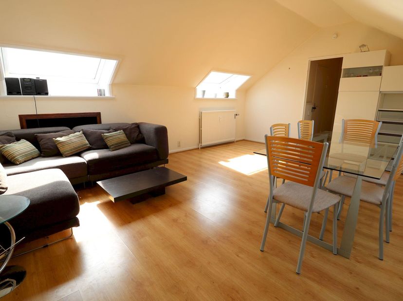 Bel appartement meublé de 66m² et composé de&lt;br /&gt;
- une chambre avec espace bureau de 16m² en parquet&lt;br /&gt;
- un séjour de 28m² en parquet&lt;br /&gt;
- un