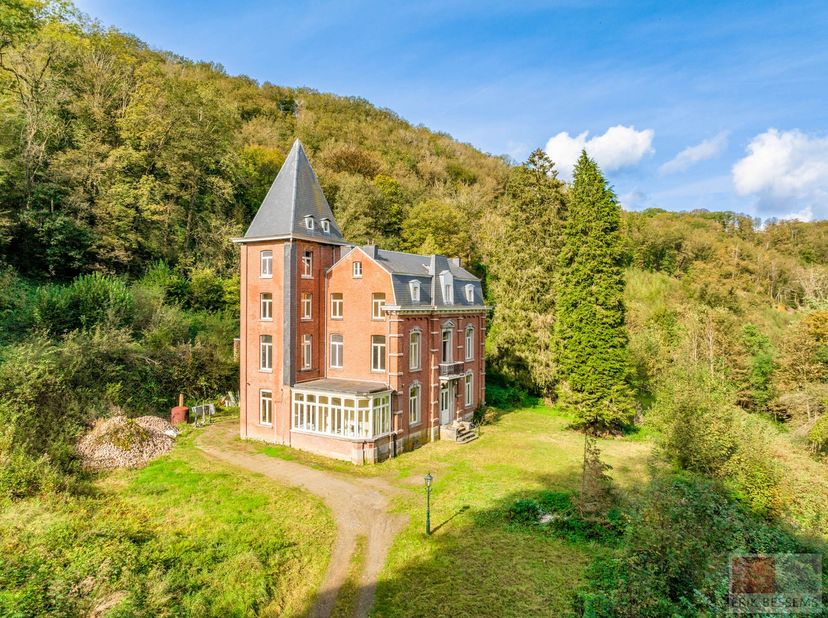 Prachtig, geheel gemoderniseerd kasteel uit 1872 met conciërgewoning op ruim perceel met een privé toegangsweg. Een woonobject van niveau en met zeer