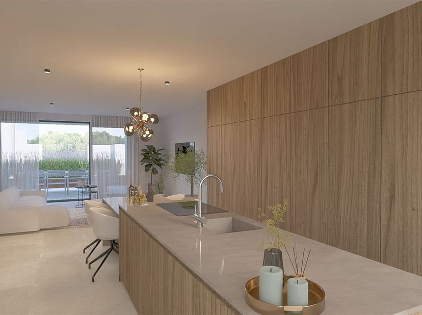 Appartement à vendre
                    à 3680 Maaseik