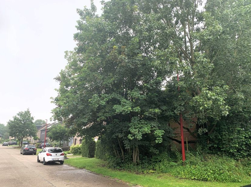 Deze grond is gelegen in een doodlopende straat in een rustige, kindvriendelijke buurt.&lt;br /&gt;
&lt;br /&gt;
In de Schaapdries te Lint vinden we dit prachtig