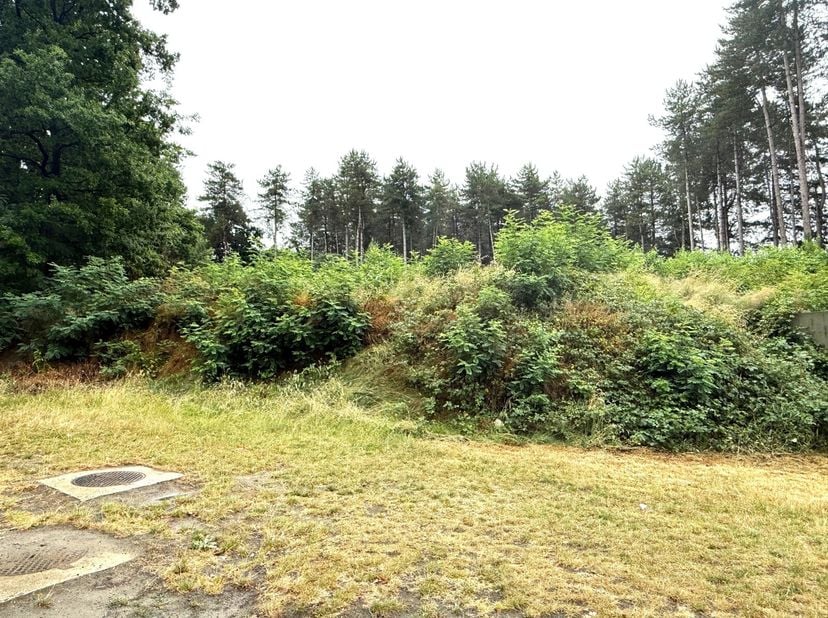 Terrain à vendre
                    à 2230 Herselt