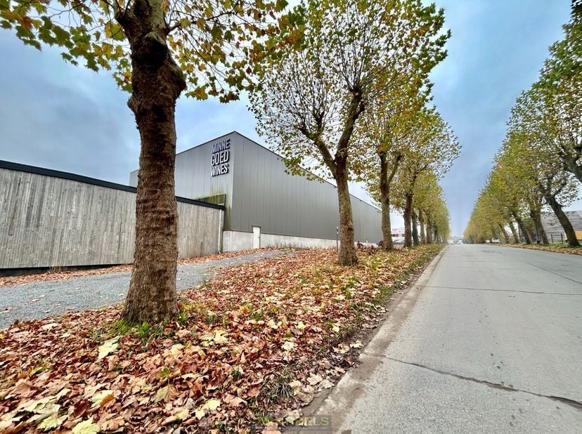 Bien professionnel à louer
                    à 9600 Renaix