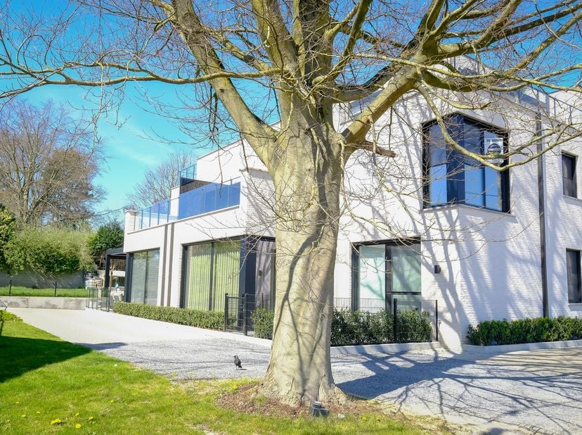 Dit luxueus appartement is gelegen op de Oude Tongersestraat 2 te Bilzen-Hoeselt, net buiten het centrum van Bilzen. &lt;br /&gt;
Het ruime appartement heef