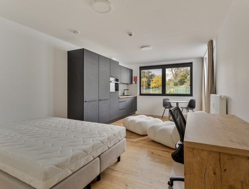                                         Studio avec coin lit à vendre à Leuven, € 295.000
