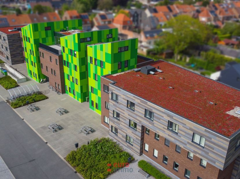De studentenresidentie Kotville herkent u van ver. Gelegen aan de ring van Brugge zijn de groene accenten typerend voor deze moderne studentenresident