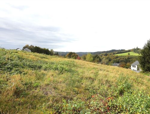                                        Terrain à bâtir à vendre à Bouillon, € 87.000
