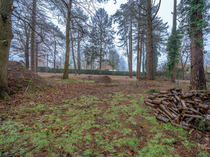 BRAINE-LE-CHÂTEAU  Cap-Sud vous propose un terrain de fond de 22 ares pour la construction d&#039;une spacieuse villa 4 façades de ± 300 m² au sol. Situé d