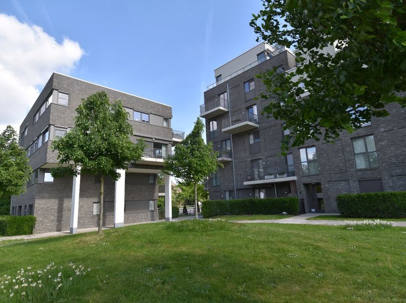 Appartement à louer
                    à 8560 Gullegem