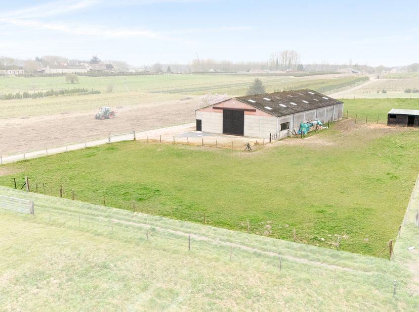 Op een rustige locatie aan het einde van een straat in Smetlede bieden wij een ruime loods aan met een totale oppervlakte van 484 m². De loods beschik