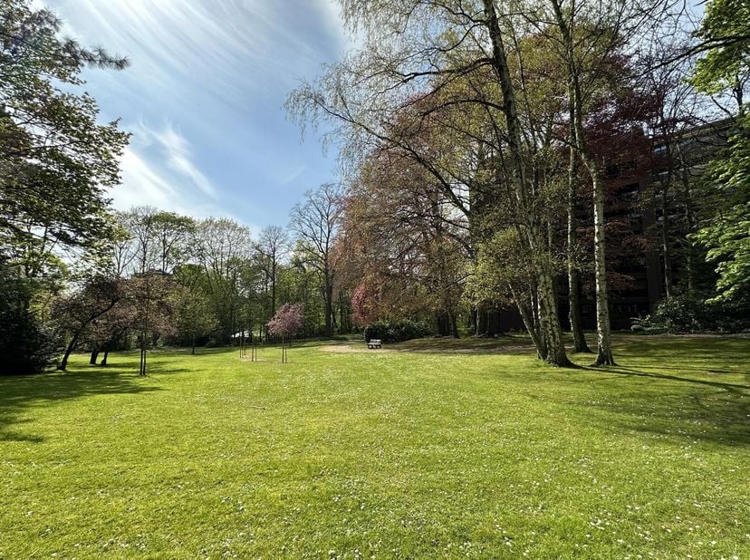 Parc du Cherridreux/Observatoire. Sublime appartement rénové denviron 150m² avec vues imprenables sur le parc. En intérieur dîlot, ce sublime appartem
