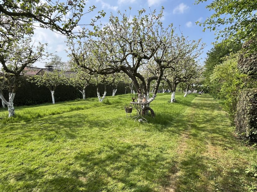 Terrain à vendre
                    à 8340 Damme