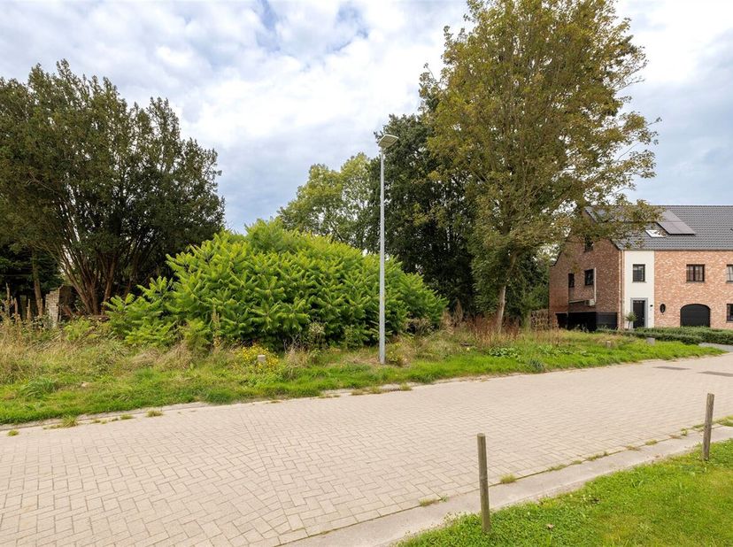 Bouwgrond 483m² (HOB) op toplocatie in Berlaar!&lt;br /&gt;
Ligging: De bouwgrond is gelegen in een rustige, doodlopende verkaveling vlakbij winkels/scholen